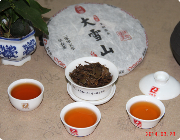 大雪山 大雪山古樹茶 2005大雪山古树茶 400克