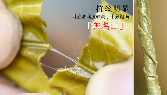 古樹普洱茶 無名山古樹茶 2016無名山普洱茶 生茶 357克