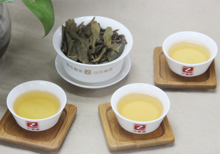 古樹普洱茶 無名山古樹茶 2016無名山普洱茶 生茶 357克