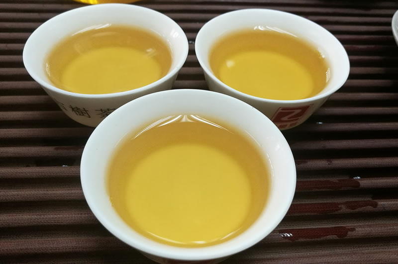 2019猪圆玉润古树茶 十二生肖纪念茶 古树普洱茶 357克