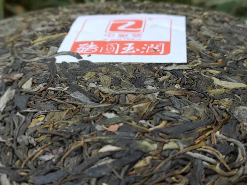 2019猪圆玉润古树茶 十二生肖纪念茶 古树普洱茶 357克