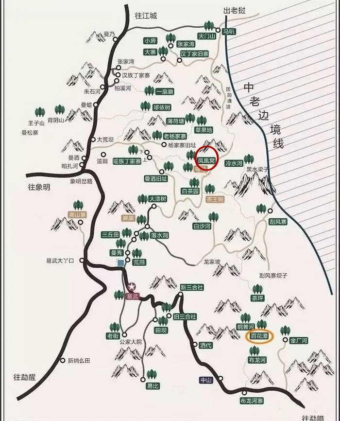 鳳凰窩 2020易武鳳凰窩 堪比薄荷塘古樹茶 一片難求 357克