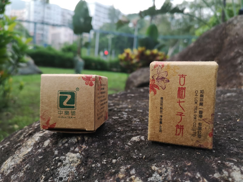 中樂號.古樹七子餅，可能是最小的普洱茶餅?