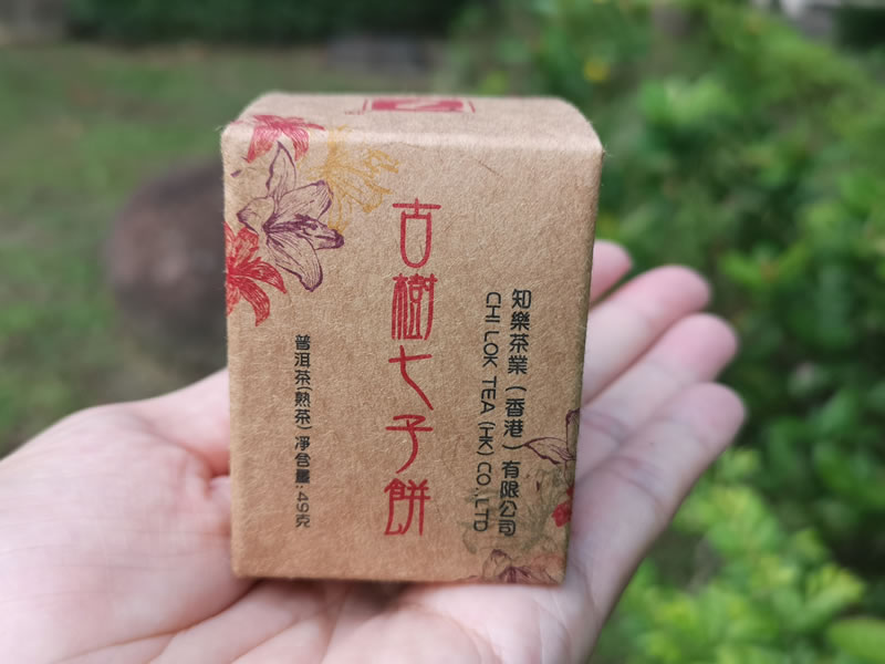 中樂號.古樹七子餅，可能是最小的普洱茶餅?