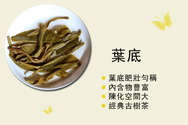 深山古树茶-中乐号深山古树茶-勐宋深山古树茶