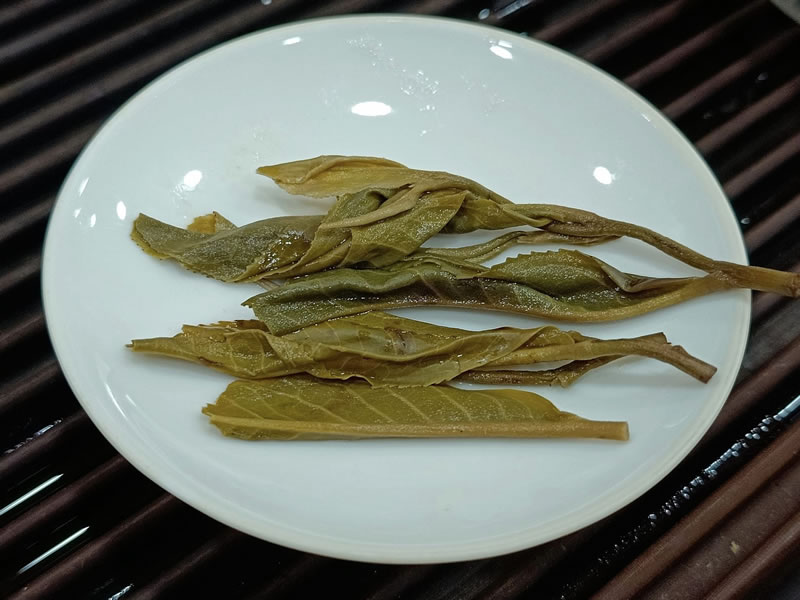 老班章 老班章普洱茶 2022老班章古樹茶 200克