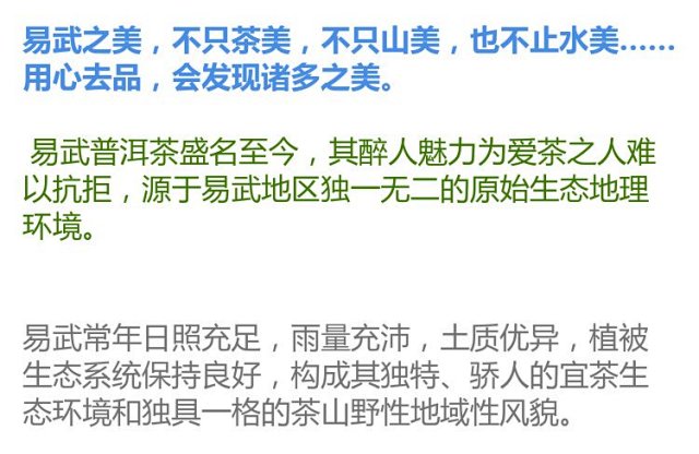 野生茶 2020易武野生茶 易武普洱茶 易武古樹茶 357克