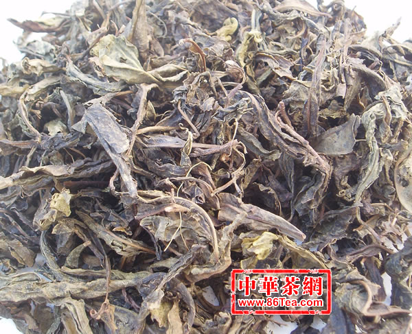 千两茶 安化千兩茶 陳年黑茶 2005千兩茶