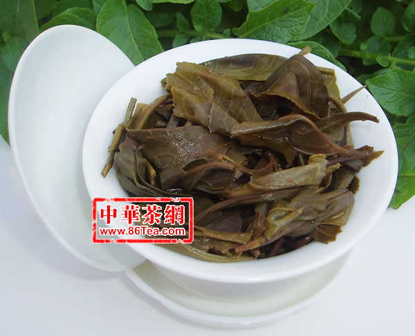 2010易武丁家寨古树茶 秋