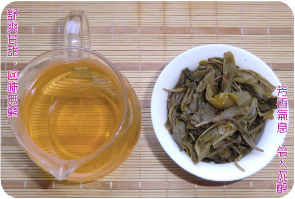 中乐号纯料普洱茶-独树王纯料古树茶