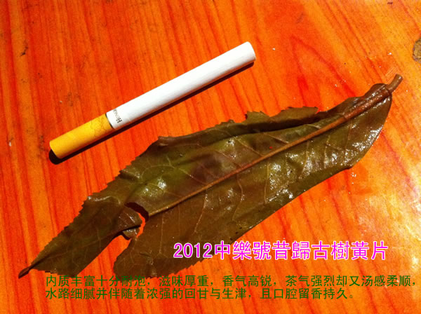 昔歸黄片 2012昔歸金葉 昔歸普洱茶 昔歸古樹茶 357克 